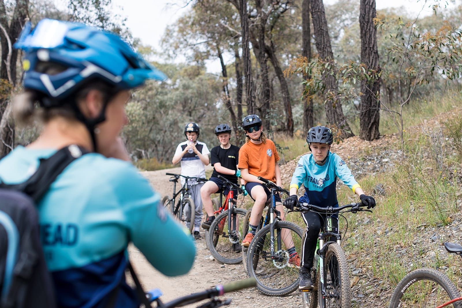 Mountain bike coaching group riding on forest trail