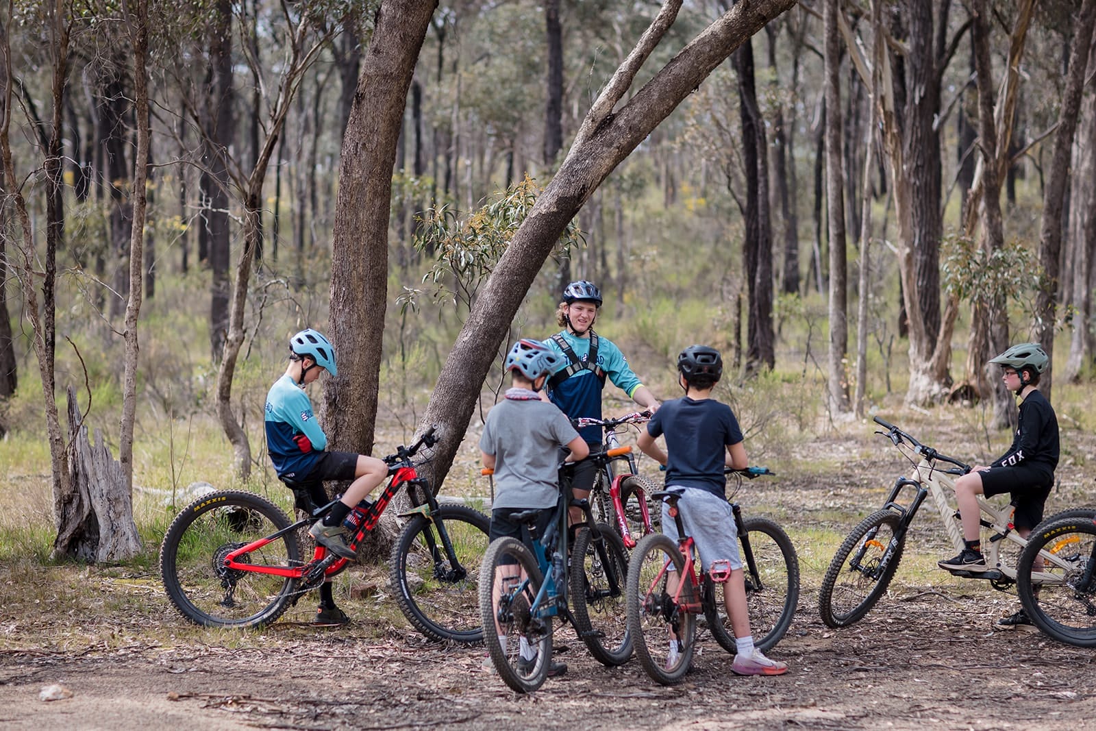 Mountain bike coaching group riding on forest trail