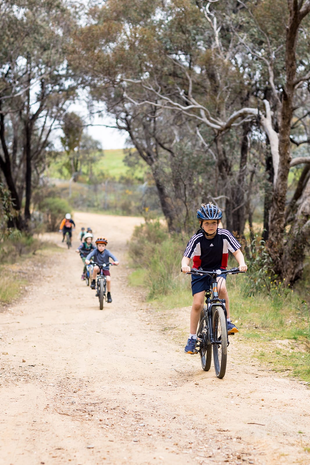 Mountain bike coaching group riding on forest trail