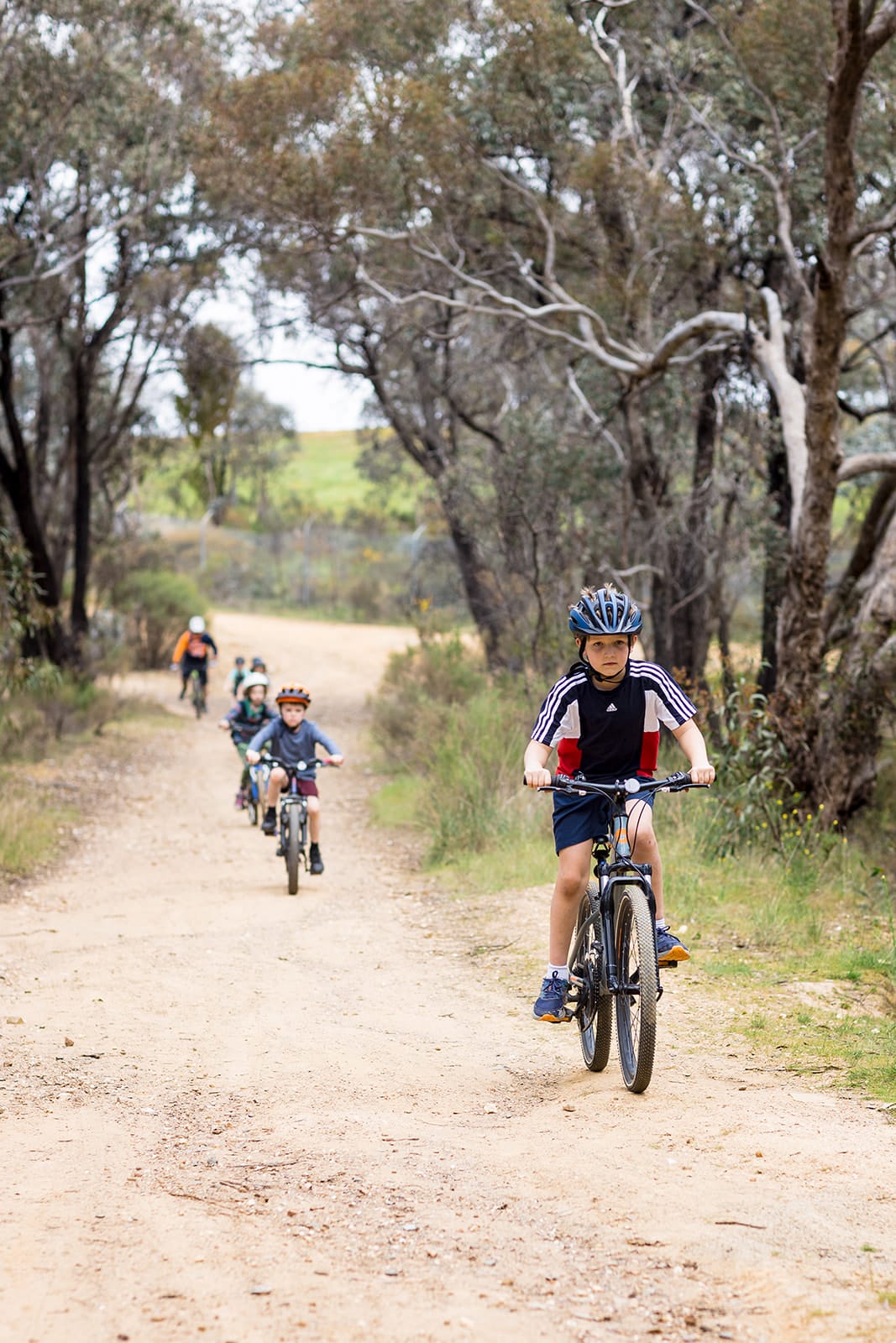 Trail Head Coaching Mountain bike coaching group riding on forest trail