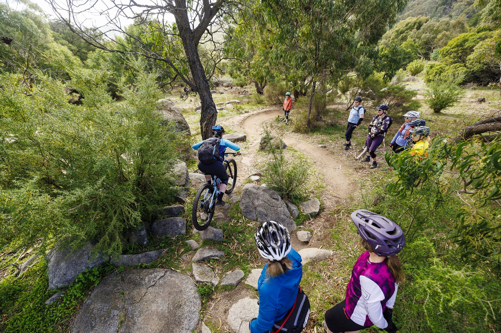 Mountain biker riding on forest singletrack